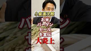 [Shinjiro Koizumi | Koizumi Rice] Rice Bargain Sale Promotion | Profit Incentive [Stockpile Rice]...
