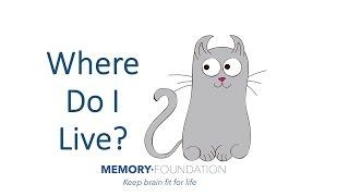 Is My Memory Normal? Try Remembering These Cats - Level 1. Improve my Memory Power.