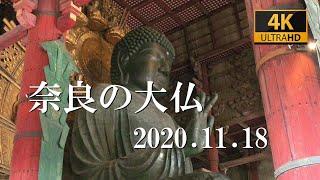 奈良の大仏　2020.11.18