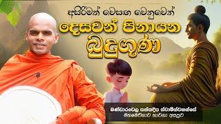 දෑත නළලෙ බැඳ සාධු කියා මම... | බුදුගුණ ශාන්තිය 01