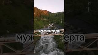 Мужская черта