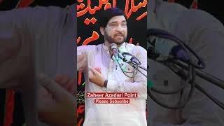 Allama Ali Nasir Talhara #newmajlis2024 #viral_video #youtubeshorts #zaheerazadaripoint