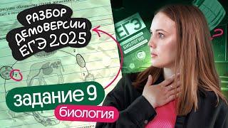 ️ Решение 9 задания | ЕГЭ по БИОЛОГИИ 2025