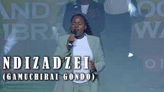 Ndizadzei ( Hymn ) - FIG Worship Culture ft Gamuchirai Gondo