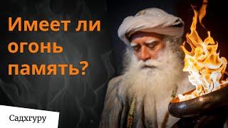 Как связаны квантовая физика и Йога?