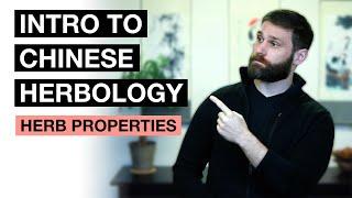 Taste, Temperature, Channel, & Direction - Basic Properties of Herbs in TCM | Intro to Herbology