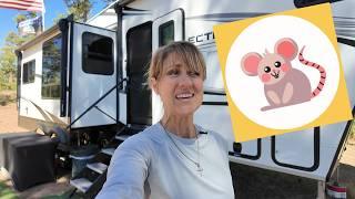 Stop inviting mice into your RV! 4 months, 1 Location: Mouse-Free!