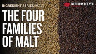 The Four Families of Malt (and How to Use Them in Homebrew)