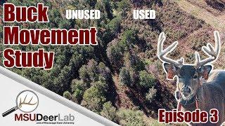 BUCK MOVEMENT STUDY - EPISODE 3: USED VS. UNUSED UPLAND PINE SITES