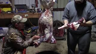 Cleaning A Deer From Start To Finish