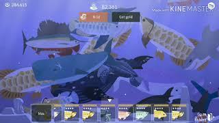 Fishing Life Game Gold Arowana's