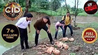 Aapsi Ranjish | CID | सीआईडी | CID Finds A Group Of Skeletons On The 'Death Island' | 19 Jan 2023