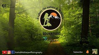 Kuldiha Wildlife Sanctuary || Trailer || Kushal Mukherjee