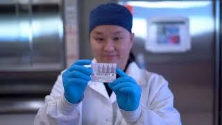 Medical Laboratory Technician