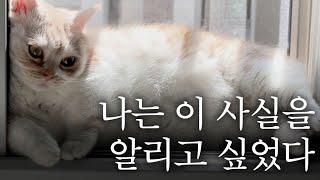 우리가 잘못알고 있던 이혼  이혼을 권하는 법원  위자료 많이 받고 이혼은 할 수가 없어요