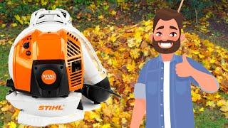 STIHL BR 800 C-E - Der BLÄST RICHTIG!