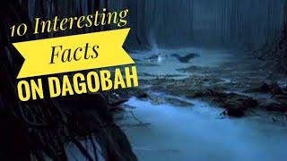 10 Interesting Facts on Dagobah.