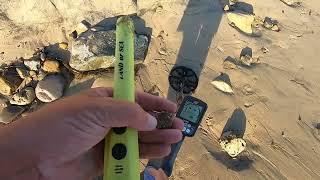 Beach Metal Detecting Beautiful California