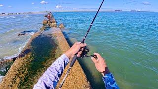 Solid flounder bite Galveston South Jetty: But they all had to go back