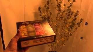 Grow Room Update Flowering Day 37