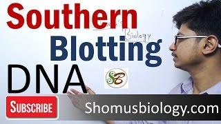 Southern blotting