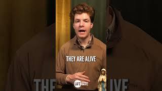 Why do Catholics ask Mary or the saints to pray for them? WATCH: