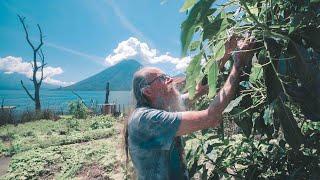 Where Cacao Comes From | Keith Wilson, the Chocolate Shaman