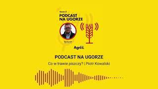 Co w trawie piszczy? | Piotr Kowalski | Agrii Polska