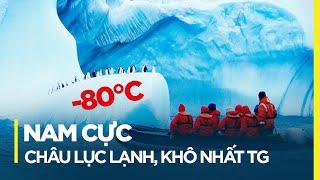 NAM CỰC: CHÂU LỤC LẠNH VÀ KHÔ NHẤT THẾ GIỚI
