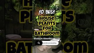 Best indoor plants for bathroom / moisture absorbing plants #shorts #houseplants #homedecor