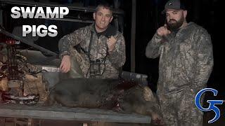 Bowhunting Swamp Pigs!! MEGAMEAT Action!!