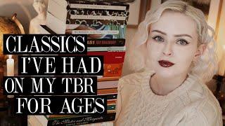 Will I Ever Get To These Classic Books?  | The Book Castle | 2024