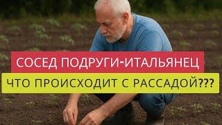 ПОЧЕМУ ХИЛАЯ РАССАДА У ИТАЛЬЯНЦА??️ОГУРЕЧНАЯ ГРЯДКА ПОДРУГИТОМАТЫ ЗАВЯЗЫВАЮТ!