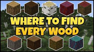 Where To Find EVERY WOOD In MINECRAFT