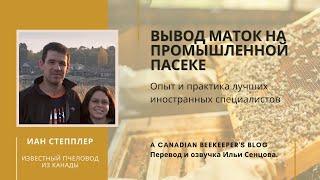 Вывод маток на промышленной пасеке (Иан Степплер, Канада)