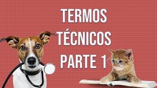 TERMOS TÉCNICOS - MEDICINA VETERINÁRIA | #estudeveterinario