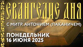 Толкование Евангелия с митрополитом Антонием (Паканичем). Петров пост. Понедельник, 16.06.2025 года.
