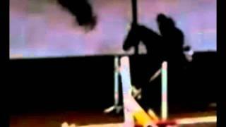 On the Floor/Mein Pferd Loriot