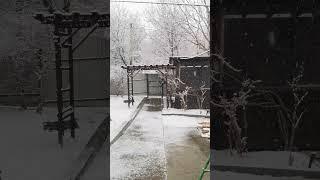 Весна Приморский край город Большой Камень. 25 марта 2025 год.
