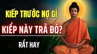 Kiếp Trước Nợ Gì, Kiếp Này Trả Đó | Trở Về Chánh Niệm