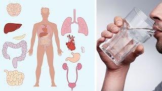 Welche 8 gesundheitlichen Vorteile das Trinken von Wasser hat!