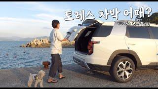 Car camping with a dog. Yeosu night sea.