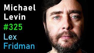 Michael Levin: Biology, Life, Aliens, Evolution, Embryogenesis & Xenobots | Lex Fridman Podcast #325