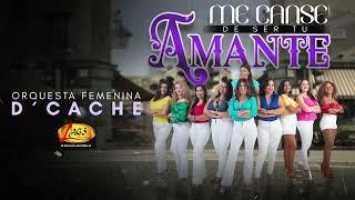 Orquesta Femenina D'Caché - Me canse de ser tu amante (Audio Oficial)