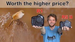 Canon R5 II or R1 - Which is the BETTER Camera for Wildlife Photography?