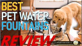 Top 10 Best Pet Waterers Water Fountains REVIEW