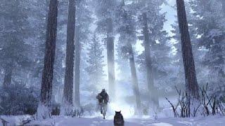 "Contingency" XBOX Series X (MW2 ('09) Campaign)