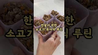 한달 루틴 만들어 편한 소고기 유아식 하세요! #유아식 #유아식꿀팁 #유아식레시피