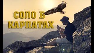 Що таке СОЛО ПОХІД у Карпатах на гору Ротило | Похід з собакою