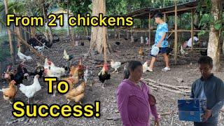 FROM 21 CHICKENS TO SUCCESSFUL CHICKEN FARMING!